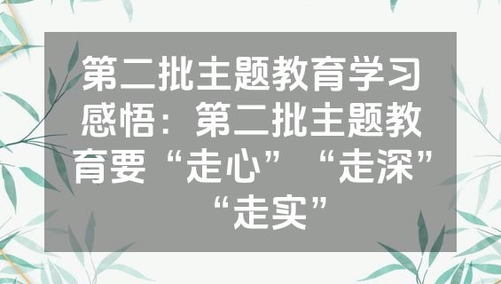 第二批主题教育学习感悟：第二批主题教育要“走心”“走深”“走实”