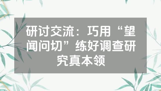 研讨交流：巧用“望闻问切”练好调查研究真本领
