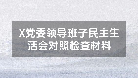 X党委领导班子民主生活会对照检查材料
