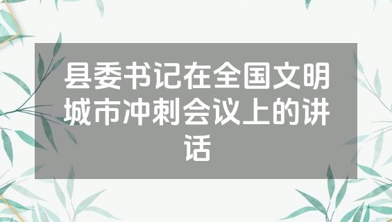 县委书记在全国文明城市冲刺会议上的讲话