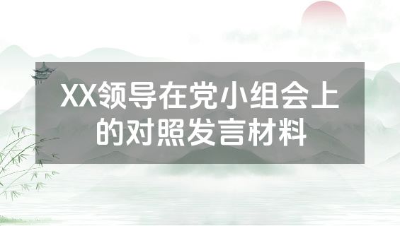 XX领导在党小组会上的对照发言材料