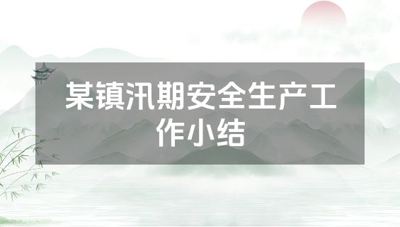 某镇汛期安全生产工作小结