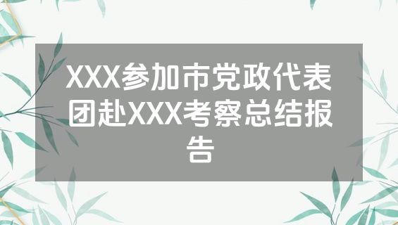 XXX参加市党政代表团赴XXX考察总结报告