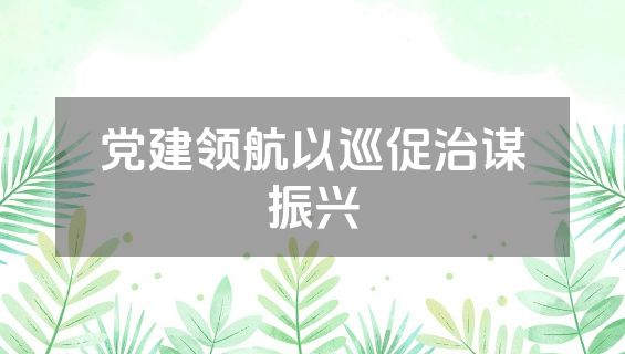 党建领航以巡促治谋振兴