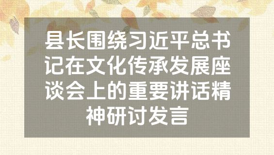 县长围绕习近平总书记在文化传承发展座谈会上的重要讲话精神研讨发言