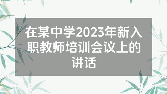 在某中学2023年新入职教师培训会议上的讲话