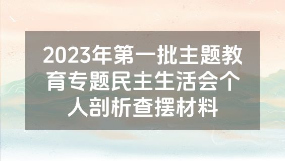 2023年第一批主题教育专题民主生活会个人剖析查摆材料