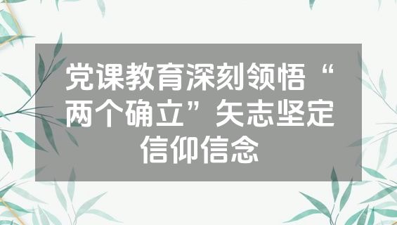党课教育深刻领悟“两个确立”矢志坚定信仰信念