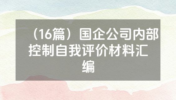（16篇）国企公司内部控制自我评价材料汇编