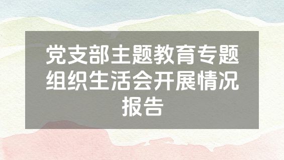 党支部主题教育专题组织生活会开展情况报告