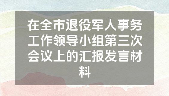 在全市退役军人事务工作领导小组第三次会议上的汇报发言材料