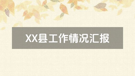 XX县工作情况汇报