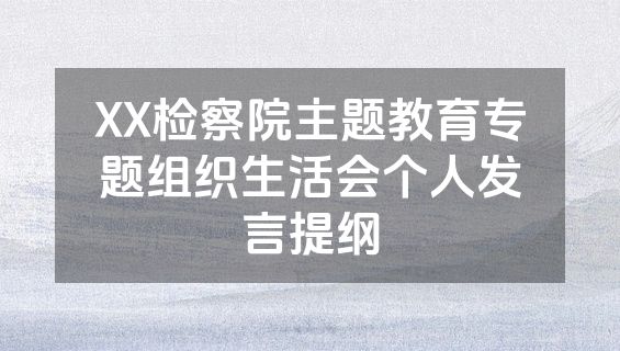 XX检察院主题教育专题组织生活会个人发言提纲