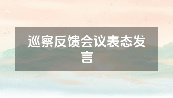 巡察反馈会议表态发言