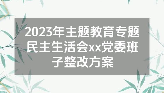 2023年主题教育专题民主生活会xx党委班子整改方案