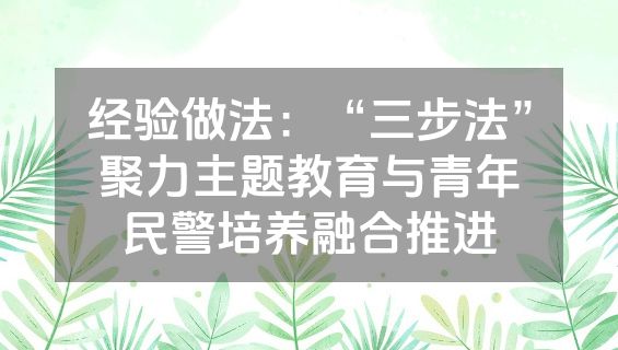 经验做法：“三步法”聚力主题教育与青年民警培养融合推进