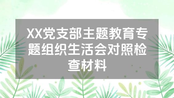 XX党支部主题教育专题组织生活会对照检查材料