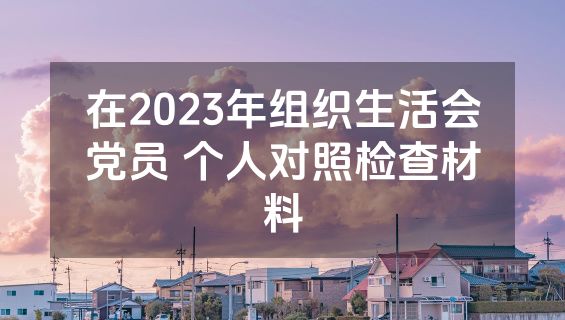 在2023年组织生活会党员 个人对照检查材料
