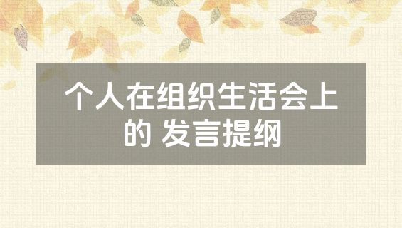 个人在组织生活会上的 发言提纲