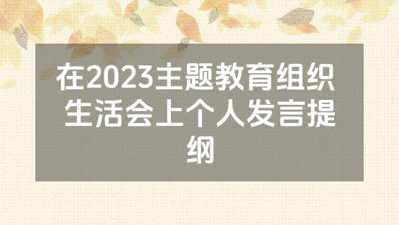 在2023主题教育组织 生活会上个人发言提纲