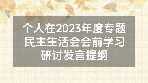 个人在2023年度专题民主生活会会前学习研讨发言提纲