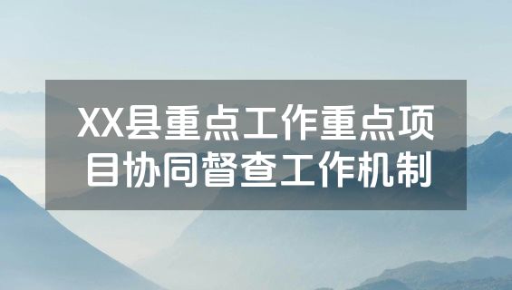XX县重点工作重点项目协同督查工作机制