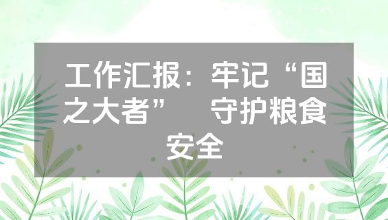 工作汇报：牢记“国之大者”　守护粮食安全