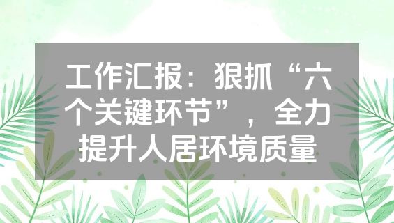 工作汇报：狠抓“六个关键环节”，全力提升人居环境质量