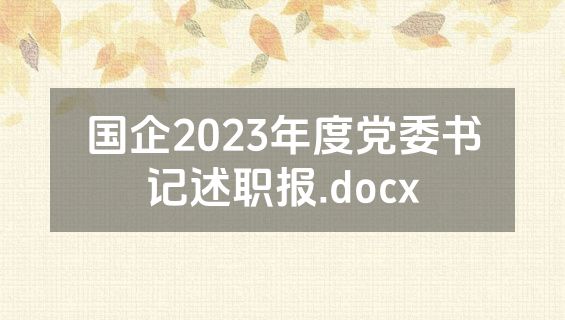 国企2023年度党委书记述职报.docx
