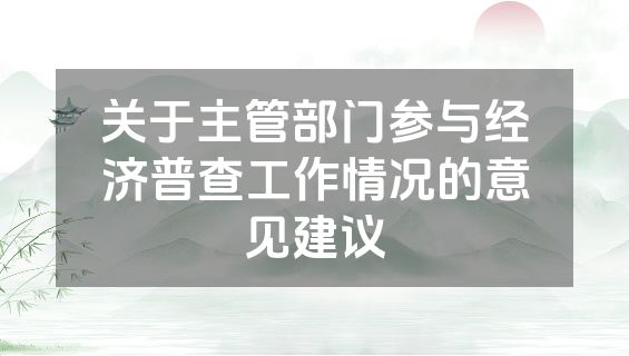 关于主管部门参与经济普查工作情况的意见建议