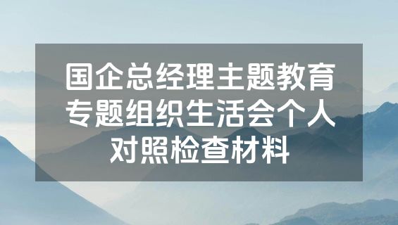 国企总经理主题教育专题组织生活会个人对照检查材料