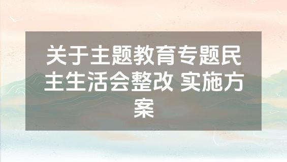 关于主题教育专题民主生活会整改 实施方案