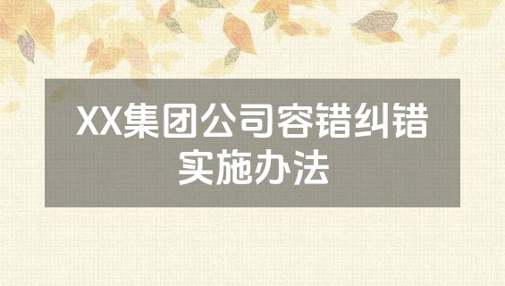 XX集团公司容错纠错实施办法