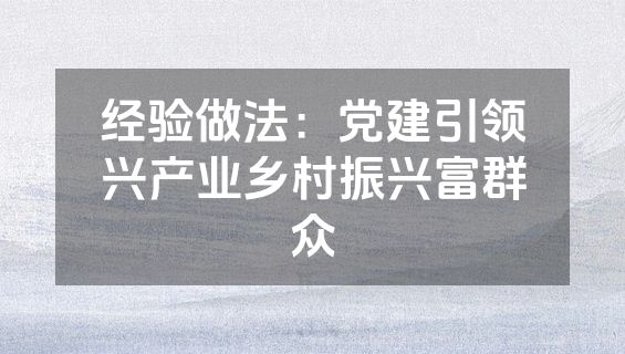经验做法：党建引领兴产业乡村振兴富群众