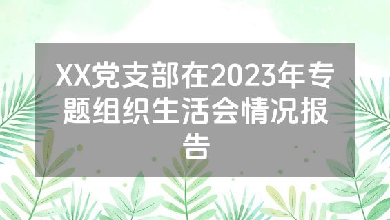 XX党支部在2023年专题组织生活会情况报告