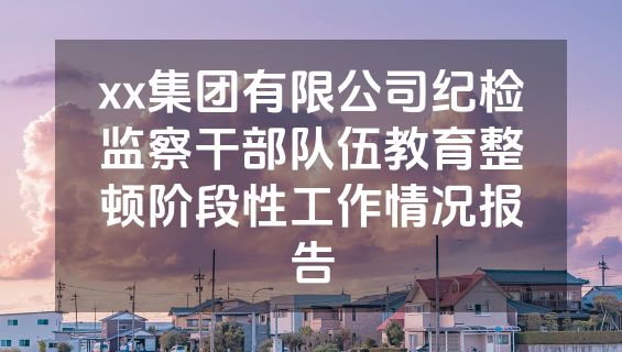 xx集团有限公司纪检监察干部队伍教育整顿阶段性工作情况报告