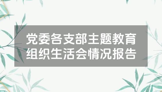 党委各支部主题教育组织生活会情况报告