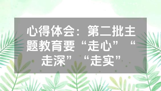 心得体会：第二批主题教育要“走心”“走深”“走实”