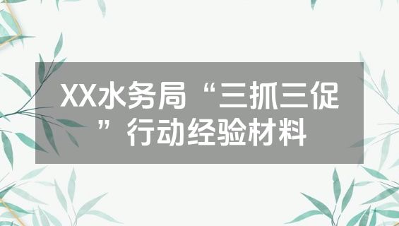 XX水务局“三抓三促”行动经验材料