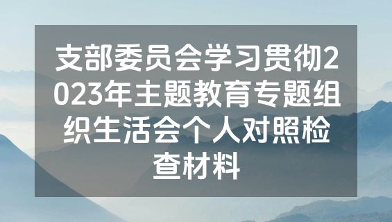支部委员会学习贯彻2023年主题教育专题组织生活会个人对照检查材料