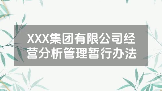 XXX集团有限公司经营分析管理暂行办法