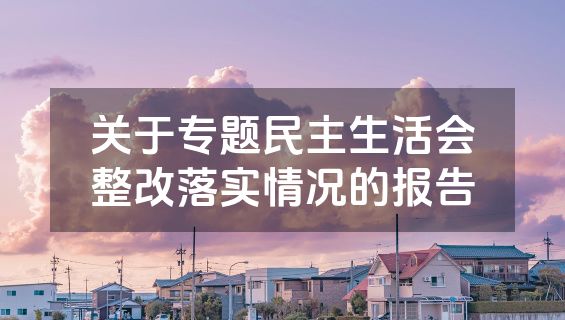 关于专题民主生活会整改落实情况的报告