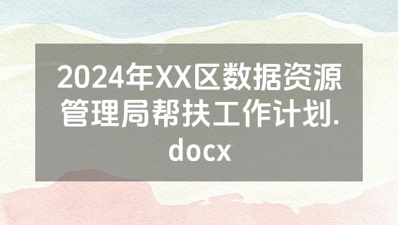 2024年XX区数据资源管理局帮扶工作计划.docx