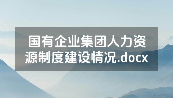 国有企业集团人力资源制度建设情况.docx