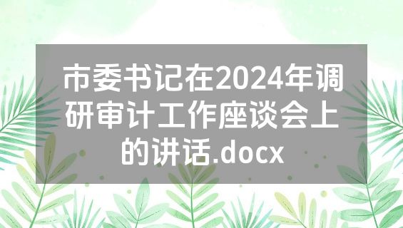 市委书记在2024年调研审计工作座谈会上的讲话.docx