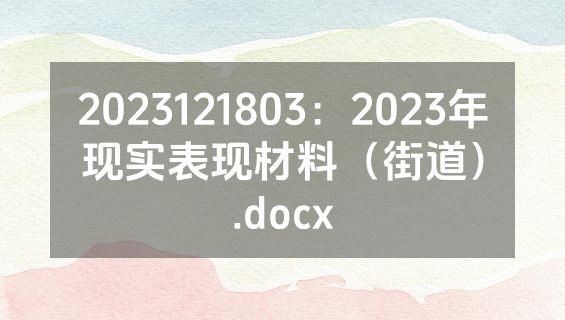 2023121803：2023年现实表现材料（街道）.docx