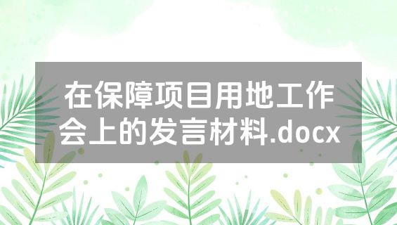 在保障项目用地工作会上的发言材料.docx