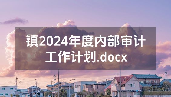 镇2024年度内部审计工作计划.docx