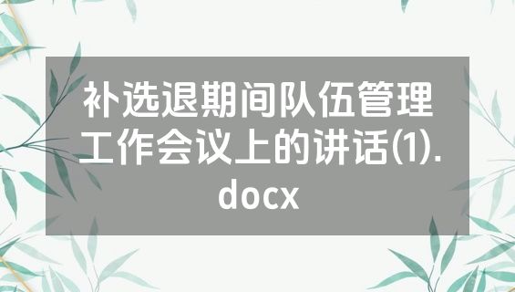 补选退期间队伍管理工作会议上的讲话(1).docx