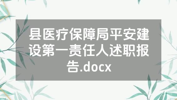 县医疗保障局平安建设第一责任人述职报告.docx